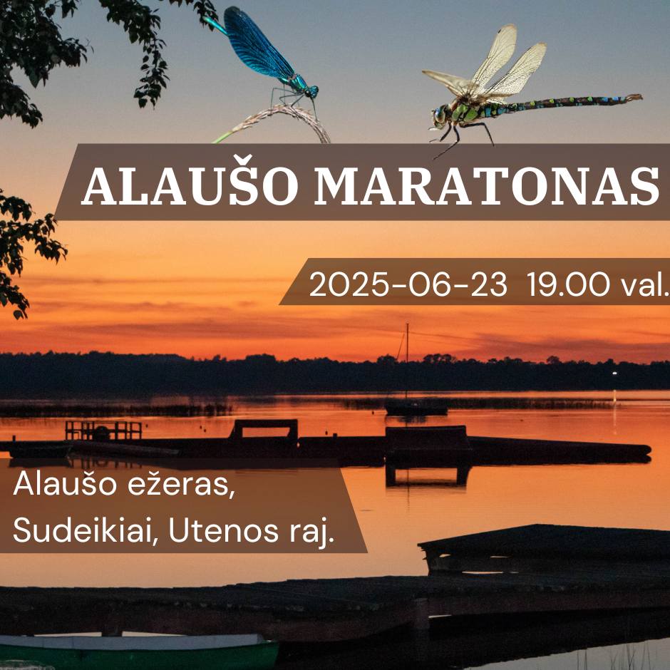 V Alaušo maratonas