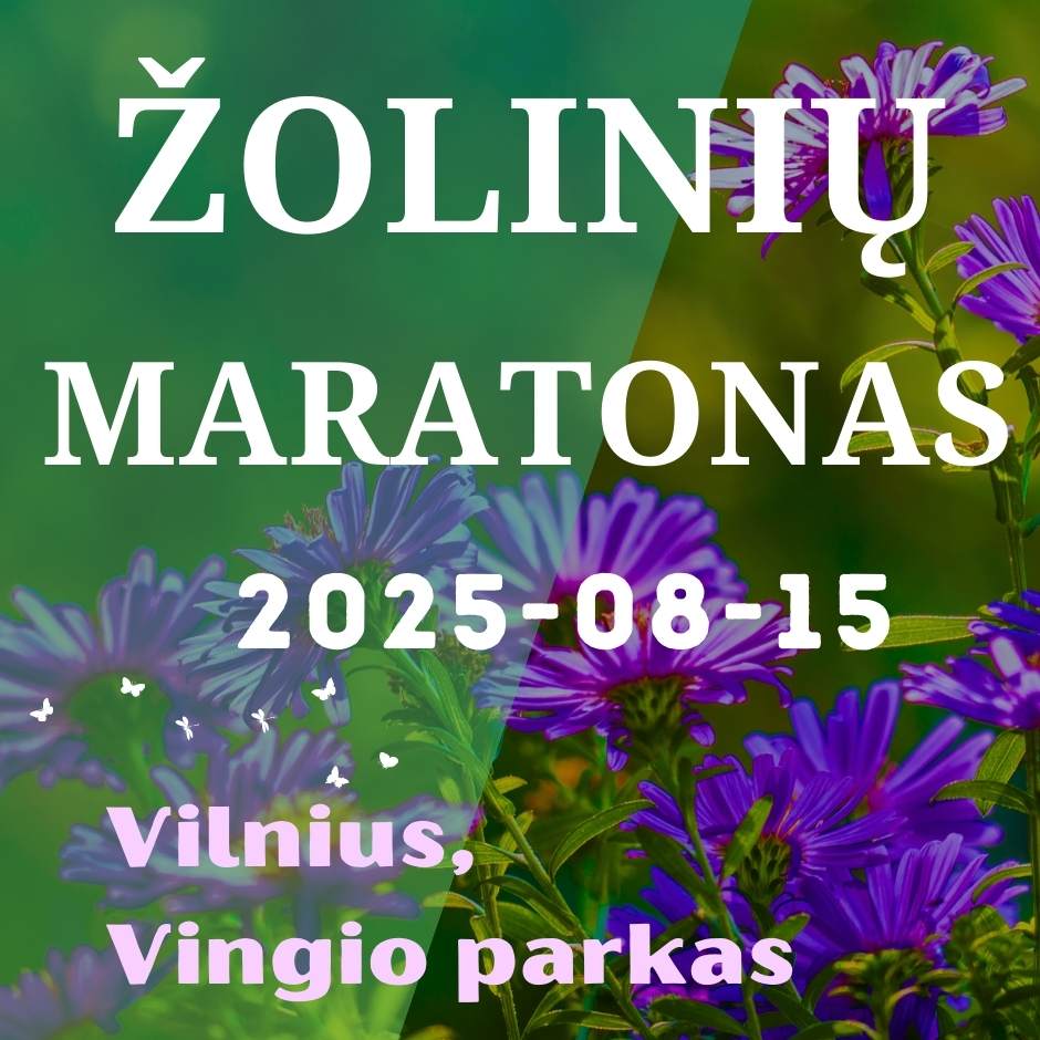 VII Žolinių maratonas